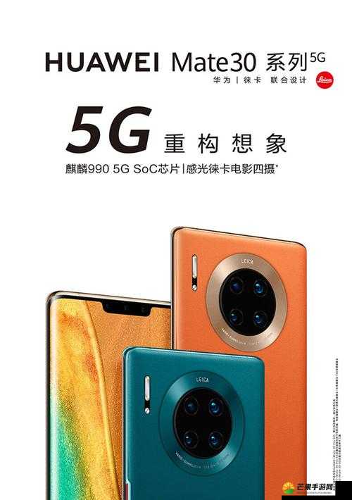 欧美无 mate30pro 巨：相关探讨