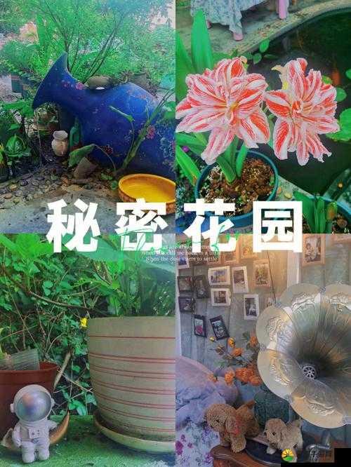 大手往哪秘密花园探去：探寻之旅