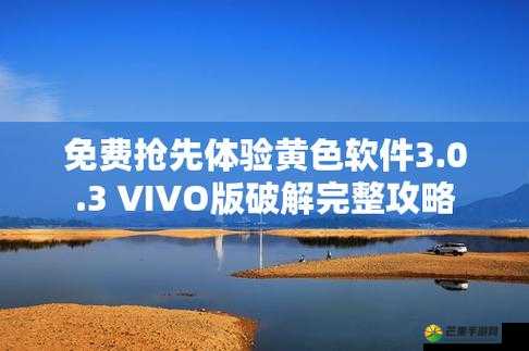 3.0.3 免费 vivo 版破解大全：游戏玩家必备神器