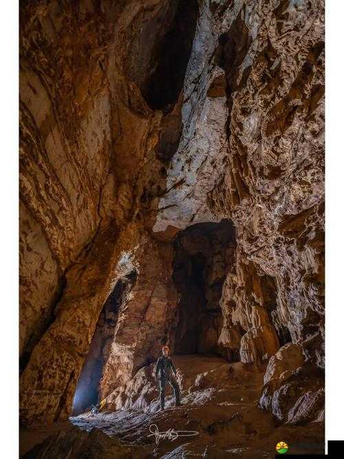 手从下腹伸向丛林深处：探索未知的旅程