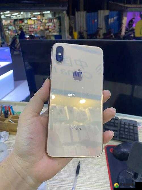 欧美IPHONEXSMAX大量精彩内容：不容错过